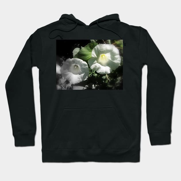 morning glory 2 Hoodie by DlmtleArt